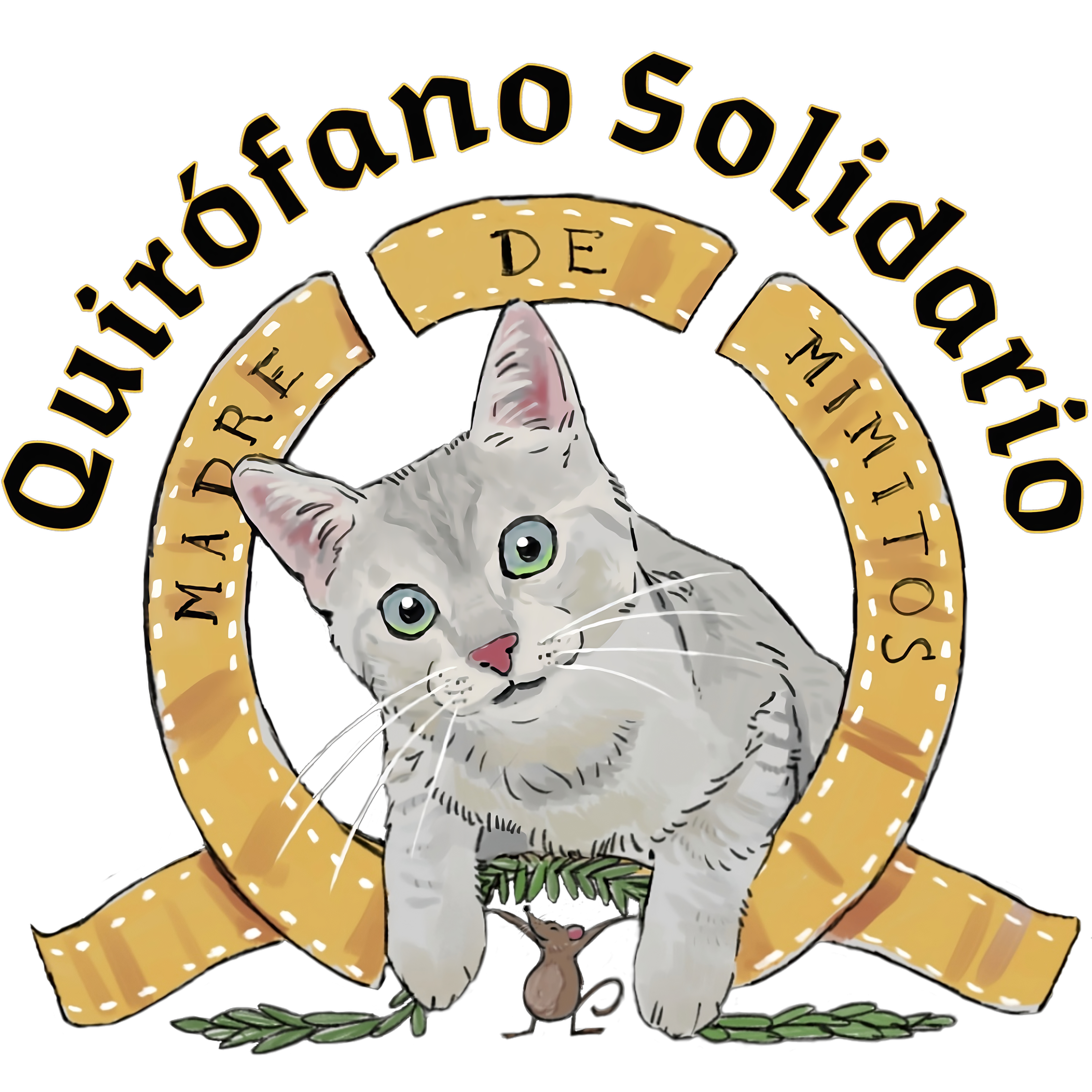 Quirófano Solidario Madre de Mimitos
